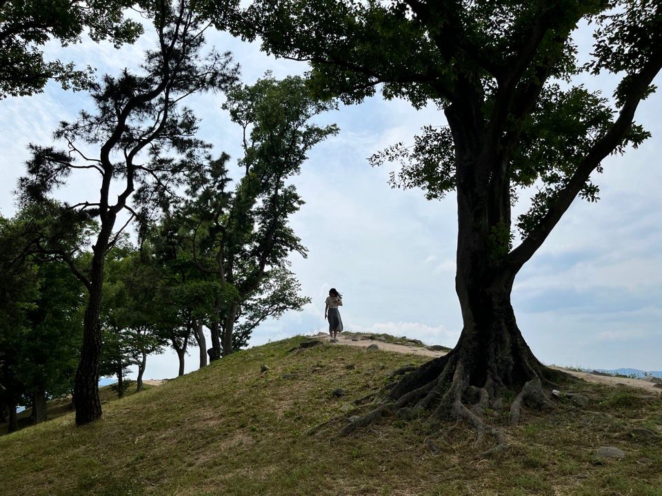 (역광이어도 멋지다)