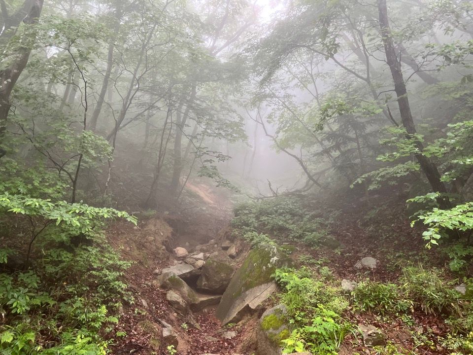 (석굴암에서 석굴암입구까지 돌아가는 길에 찍은 절경)