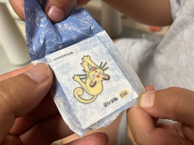 아들2의 띠부실