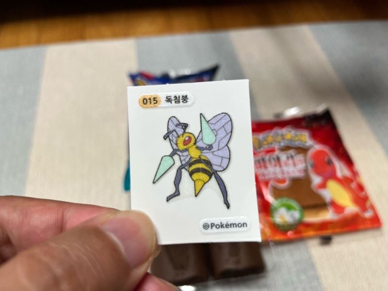 아들1의 띠부실