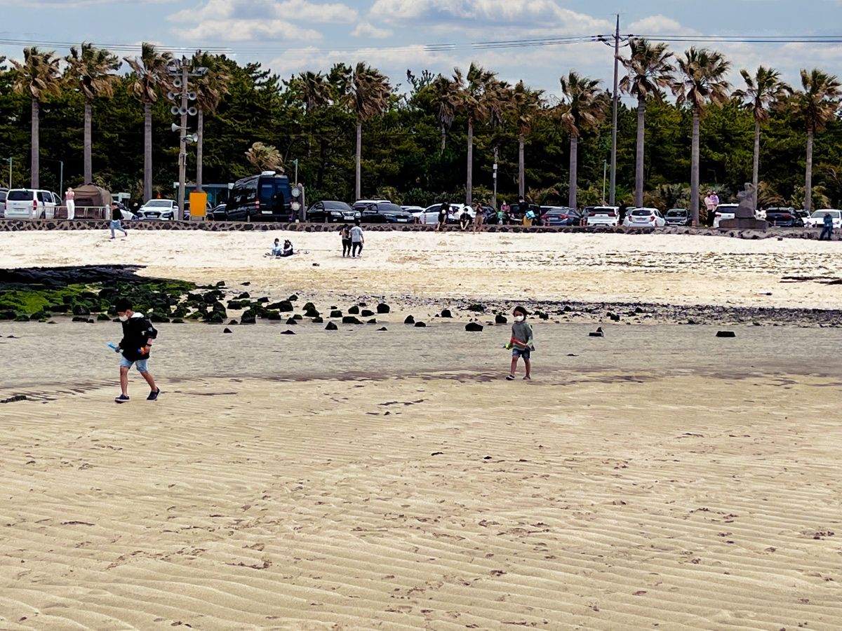 금능해수욕장을 누비는 아들1,2