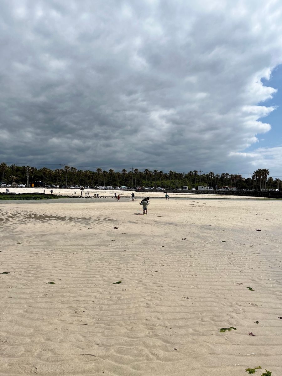 금능해수욕장도 절경이다.