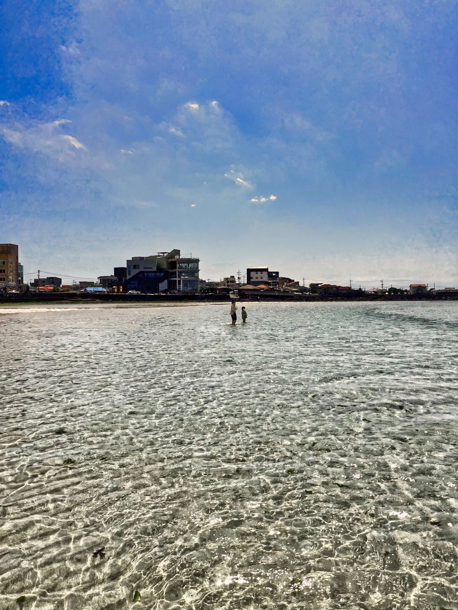 바다를 가로지르는 와이프와 아들2