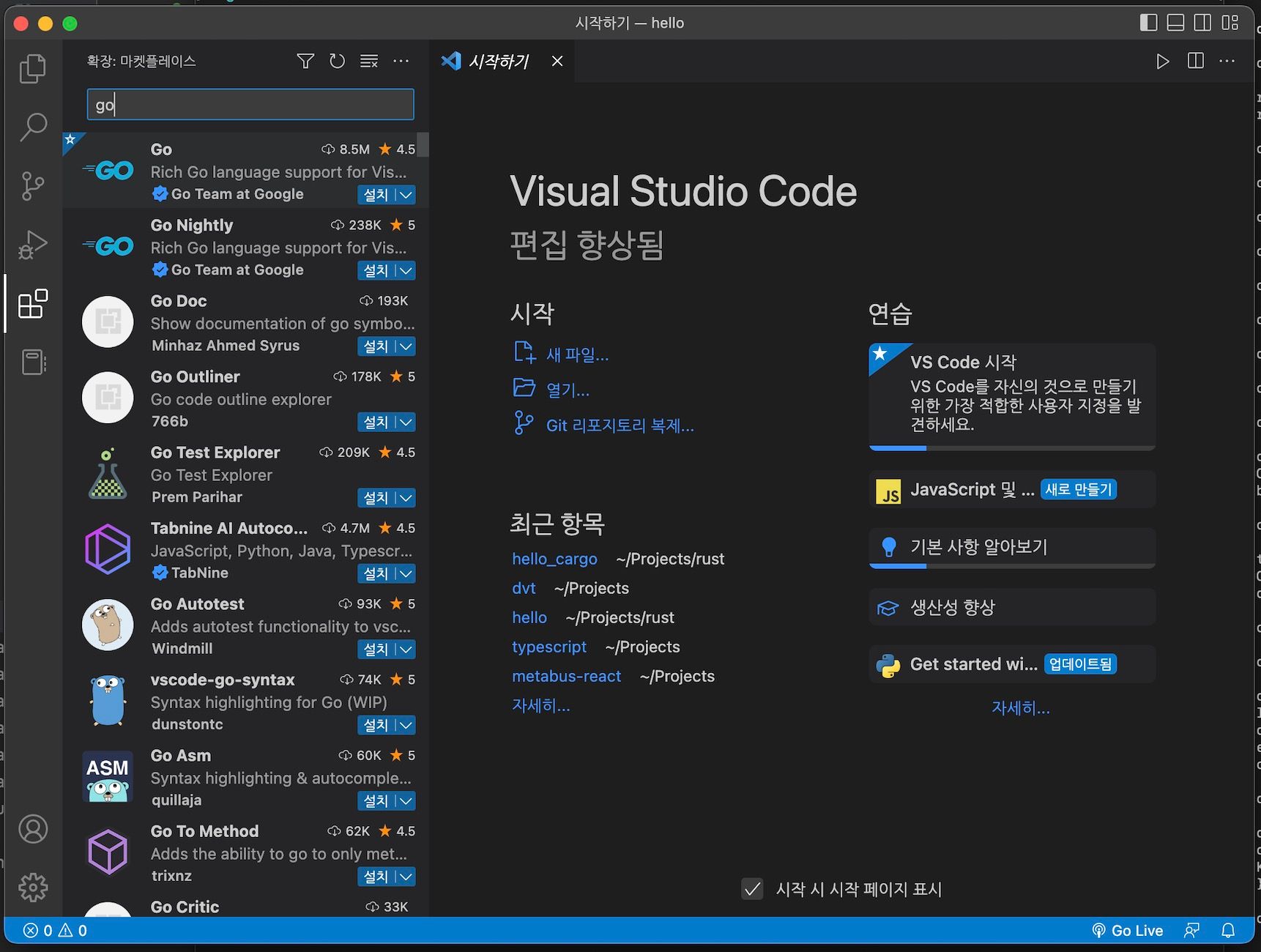 확장플러그인 검색창에 go라고 검색