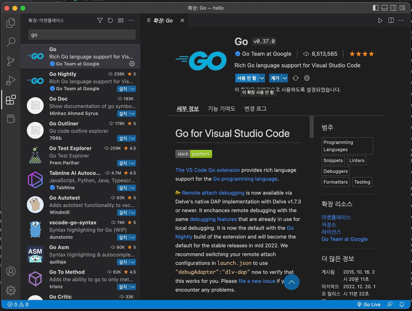 Go 확장 프로그램 설치완료