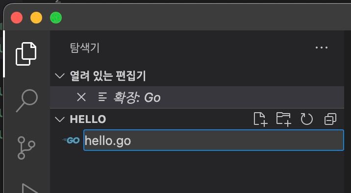 hello.go 파일 생성