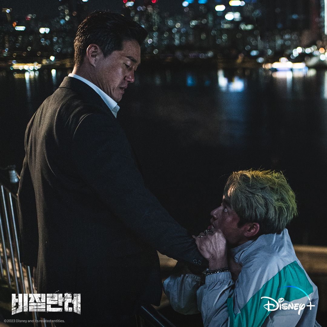 비질란테를 보고